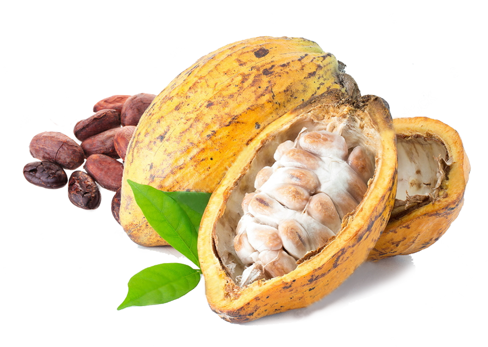 Beurre de Cacao BIO