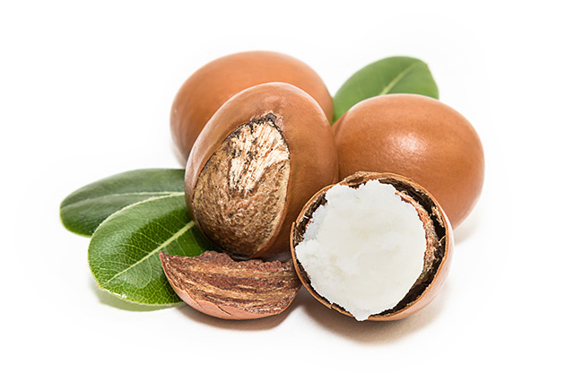 Beurre de Karité désodorisé BIO