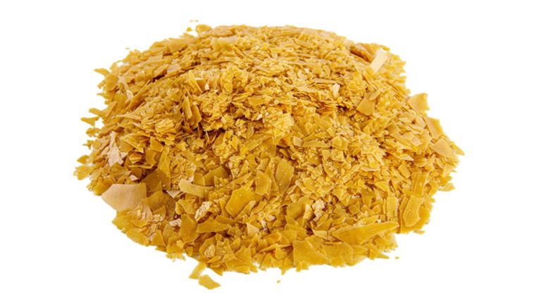 Cire de Carnauba BIO