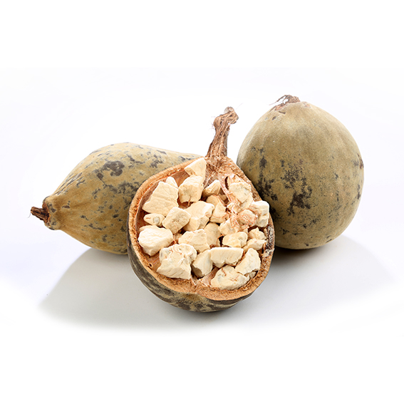 Huile végétale Baobab BIO