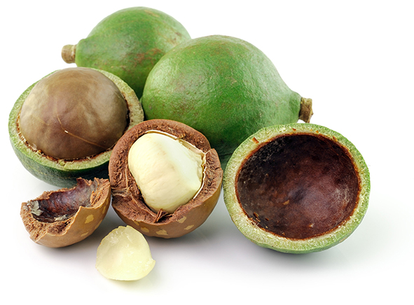 Huile végétale Macadamia vierge BIO