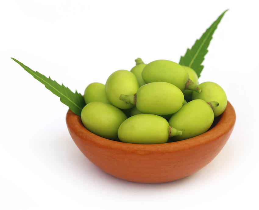 Huile végétale Neem BIO