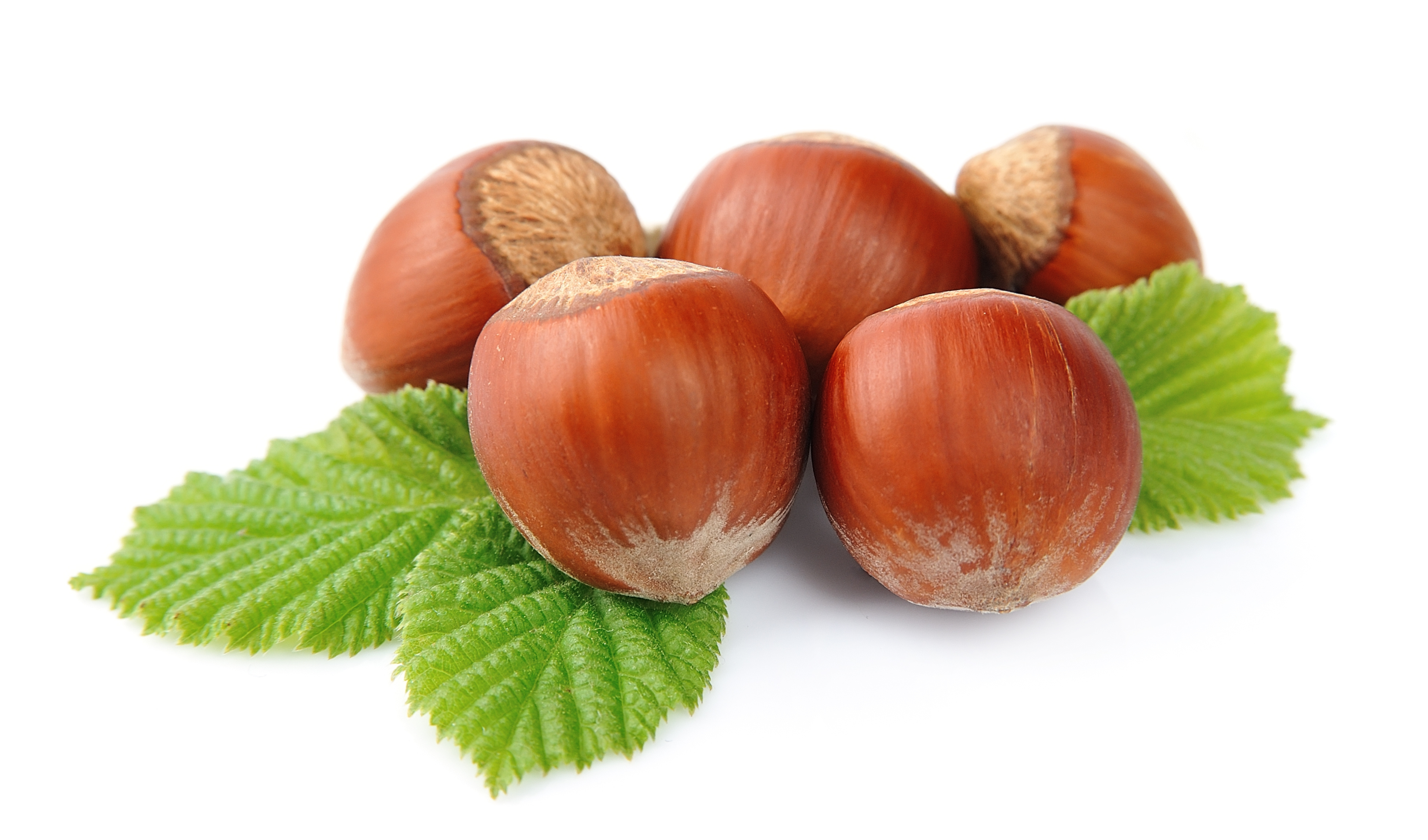 Huile végétale Noisette BIO