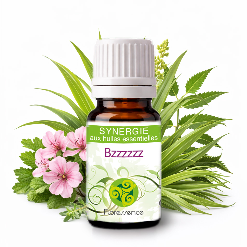 Synergie Bzzzzzz - BIO