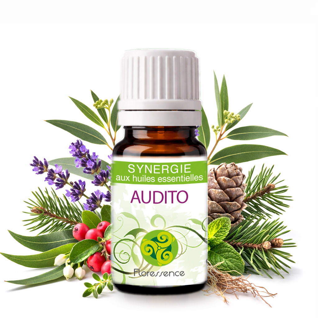 Synergie Audito BIO