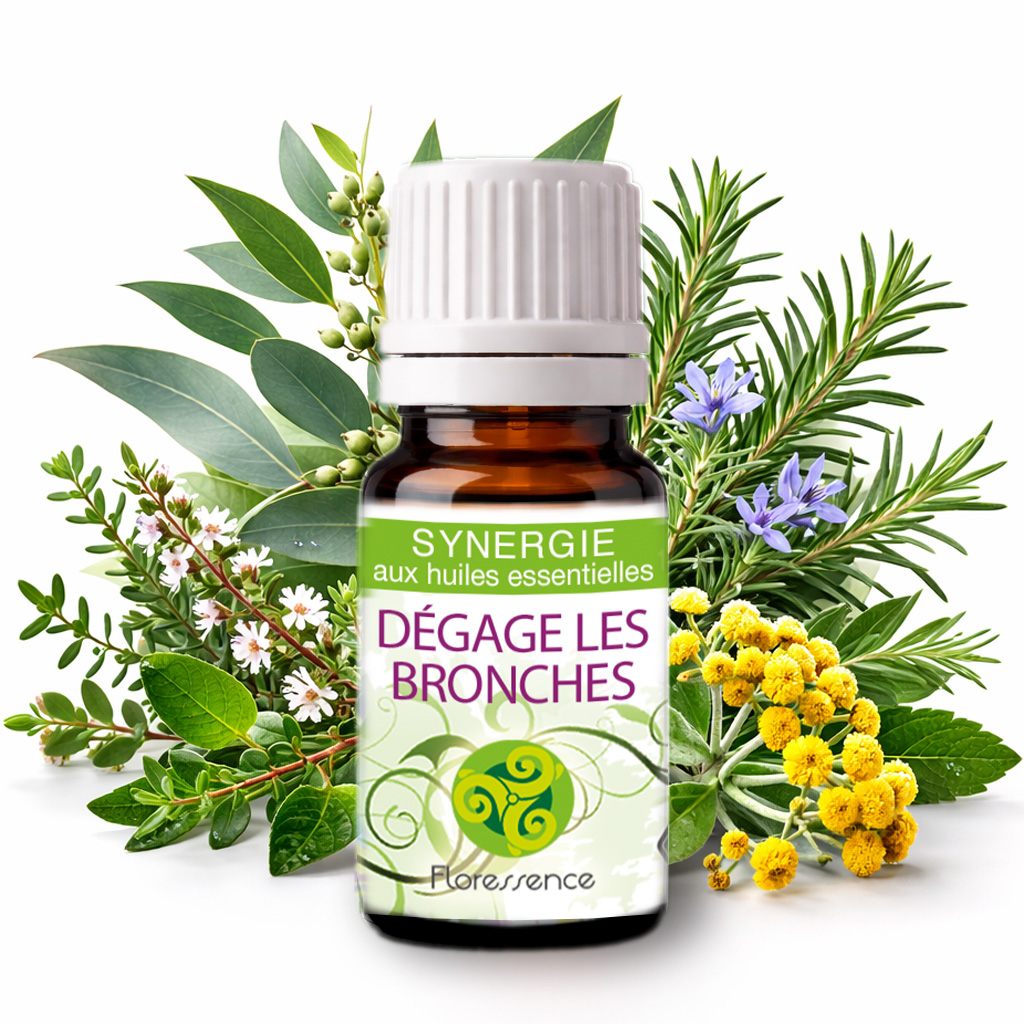 Synergie Dégage les bronches BIO