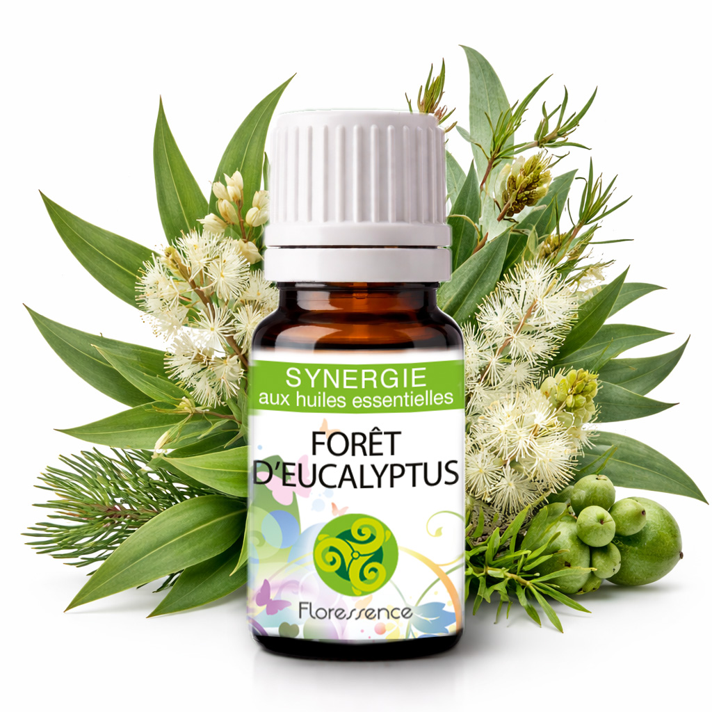 Synergie Forêt d'eucalyptus BIO
