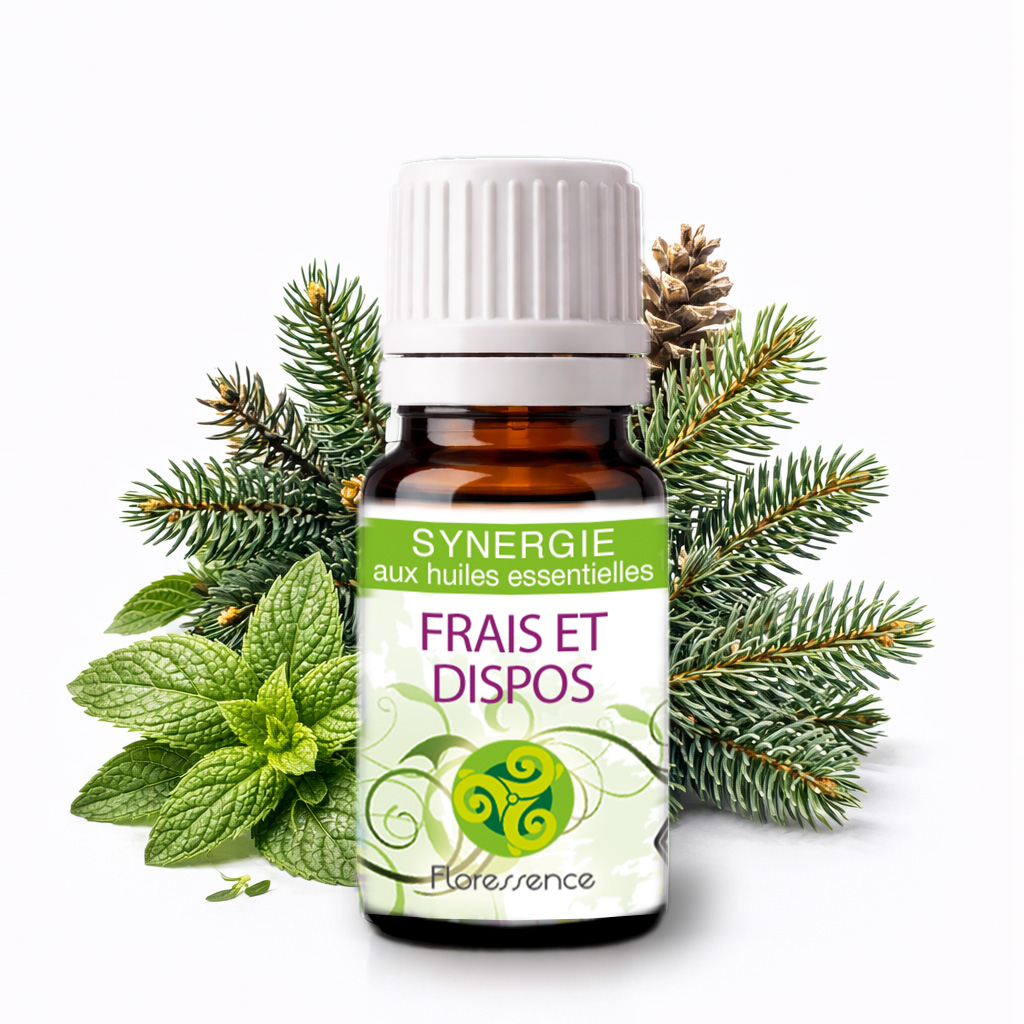Synergie Frais et dispos BIO