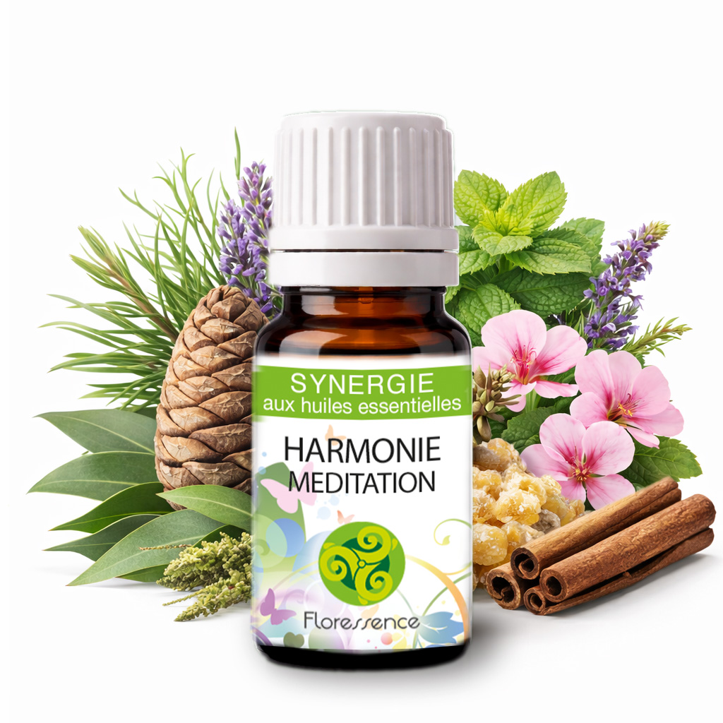 Synergie Harmonie