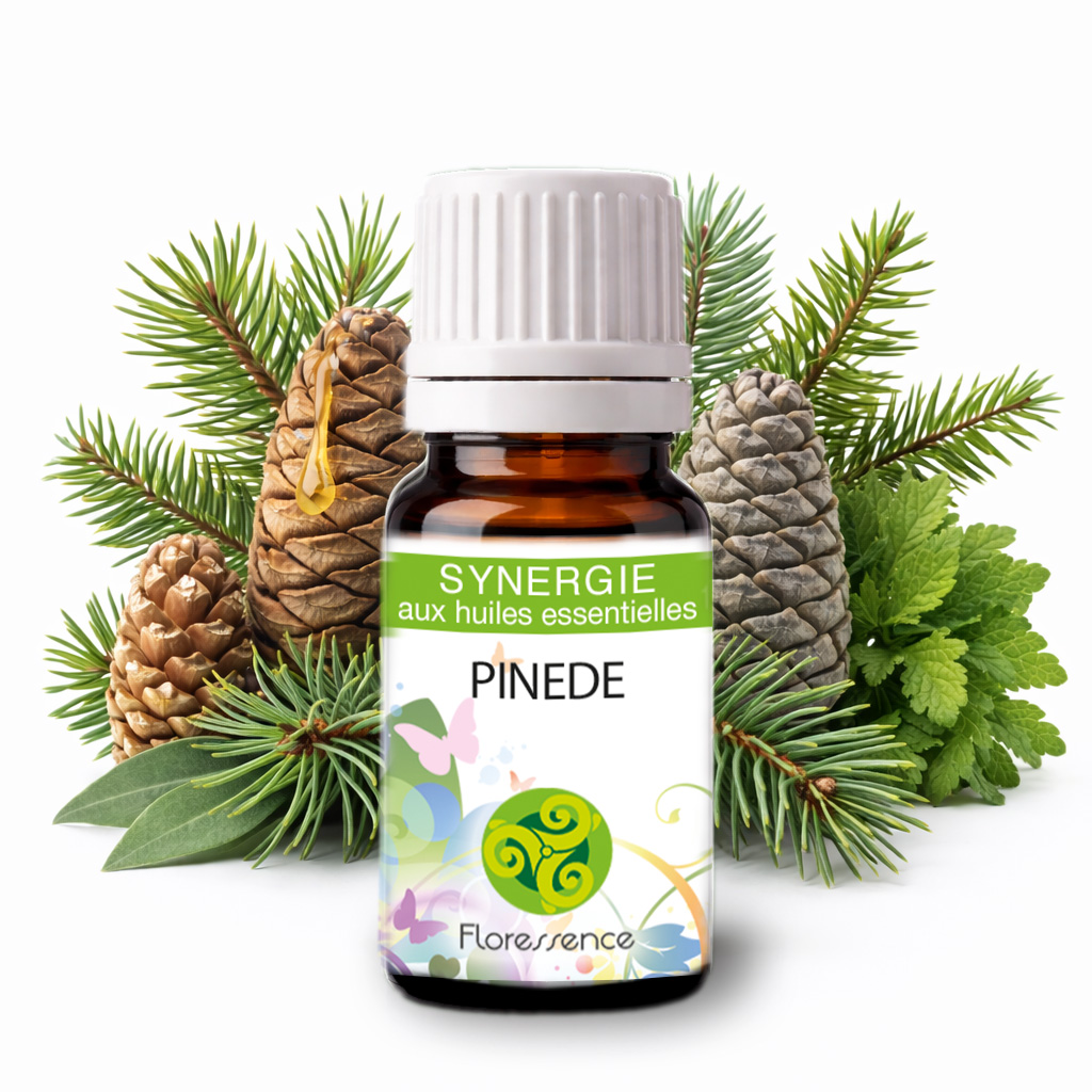Synergie Pinède