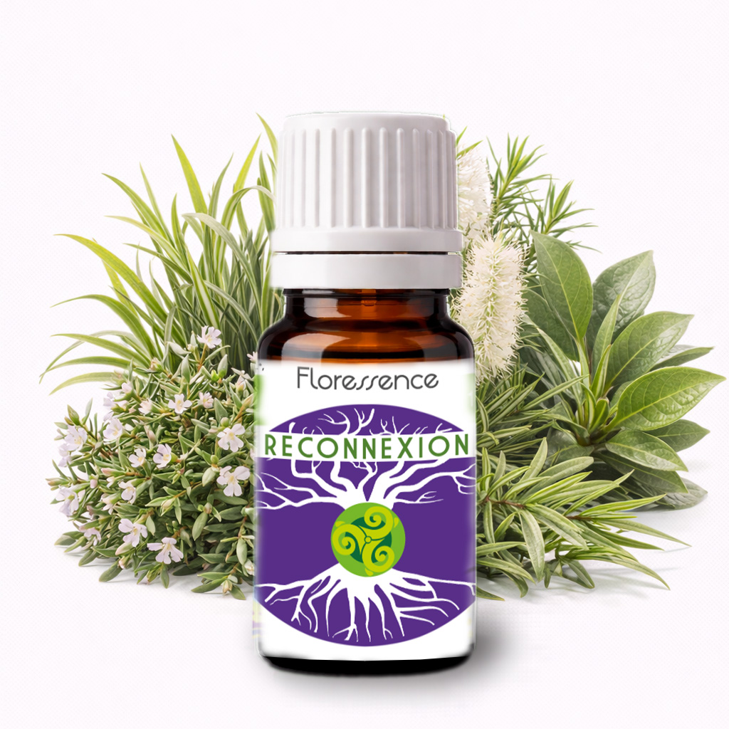 Synergie Reconnexion BIO