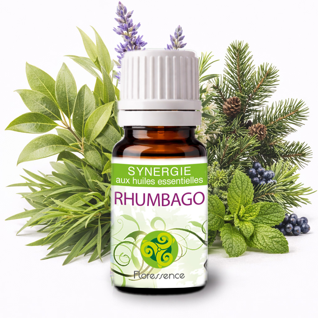 Synergie Rhumbago BIO