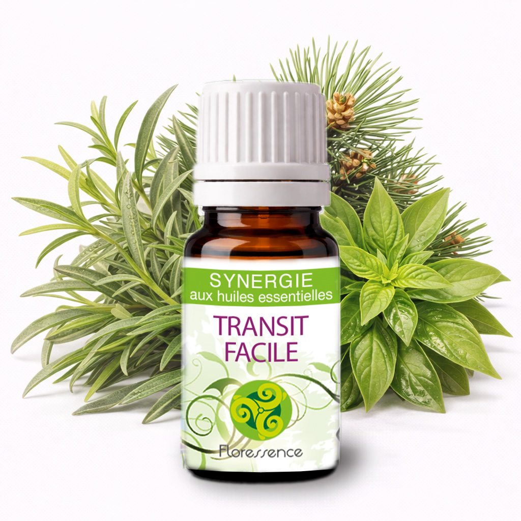 Synergie Transit facile BIO