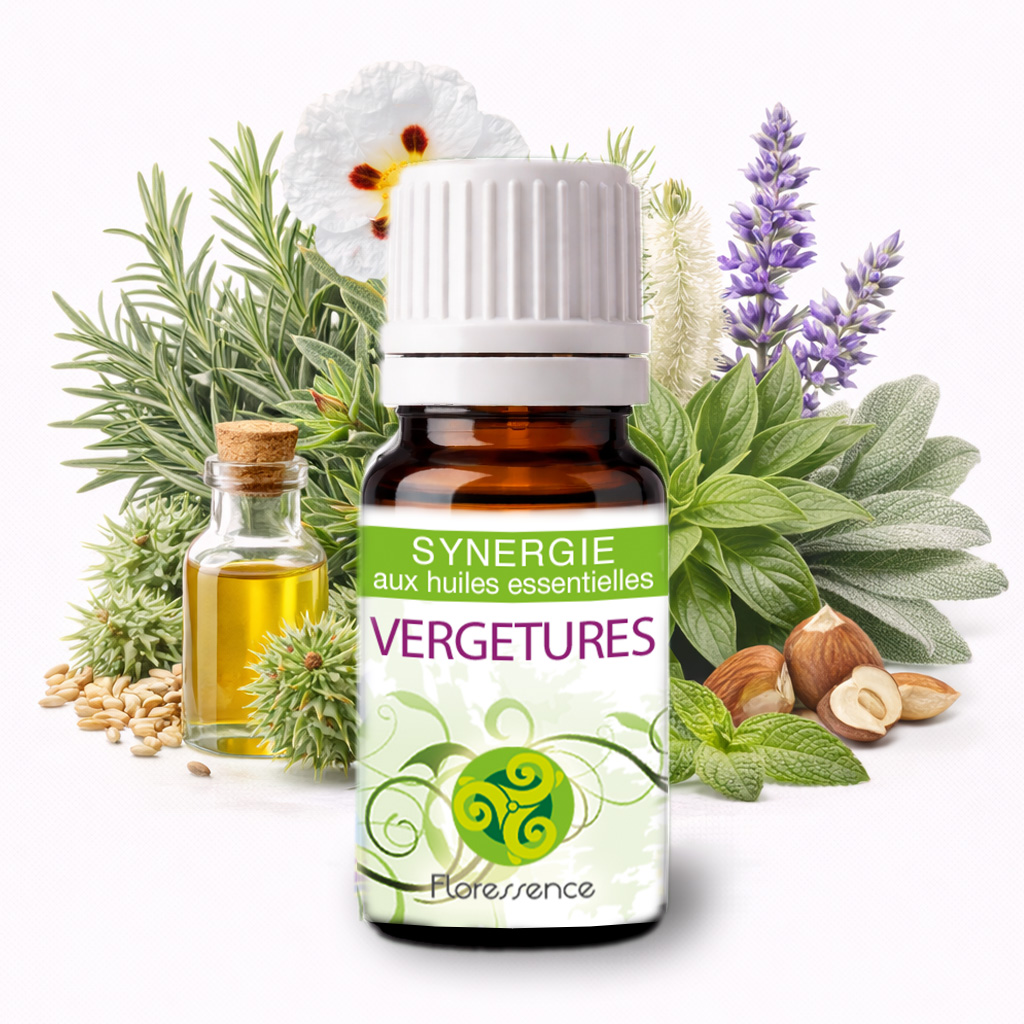 Synergie Vergetures