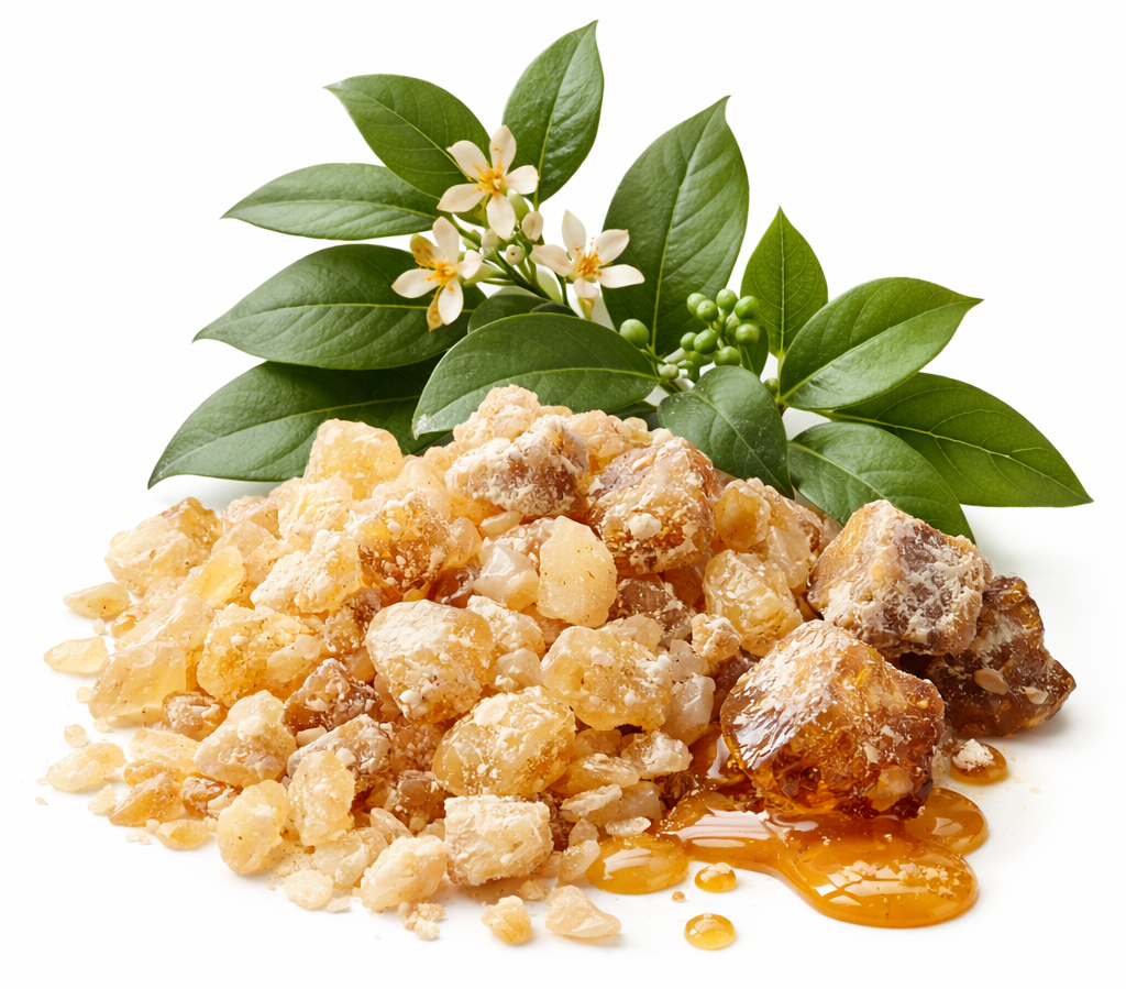 Benjoin de Sumatra résinoïde 50%(Styrax Benzoe)