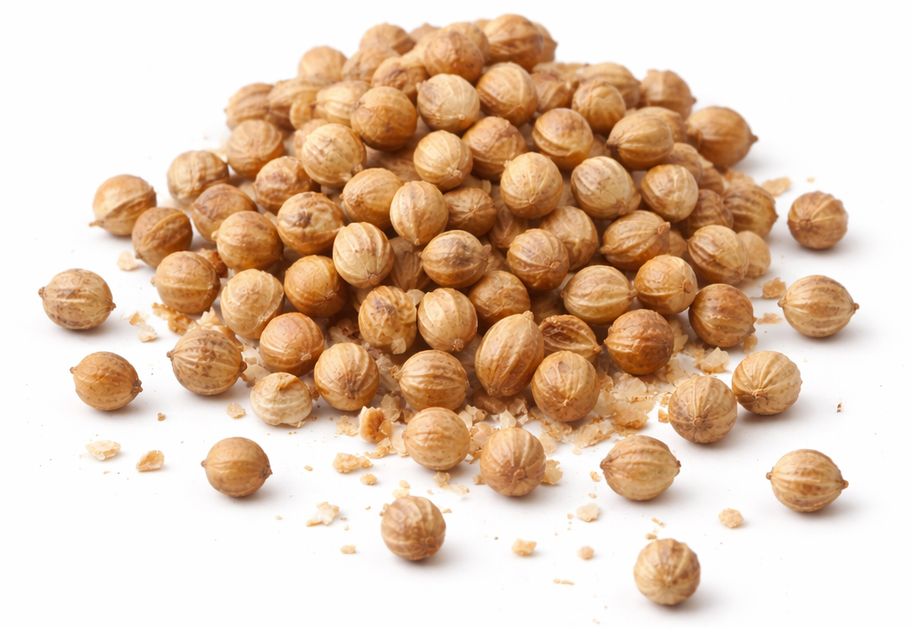 Coriandre (Coriandrum Sativum) BIO