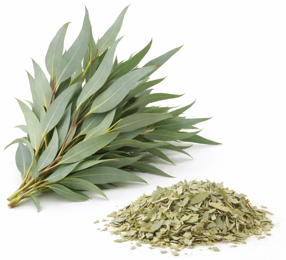 organic cryptone eucalyptus (Eucalyptus Polybractea)