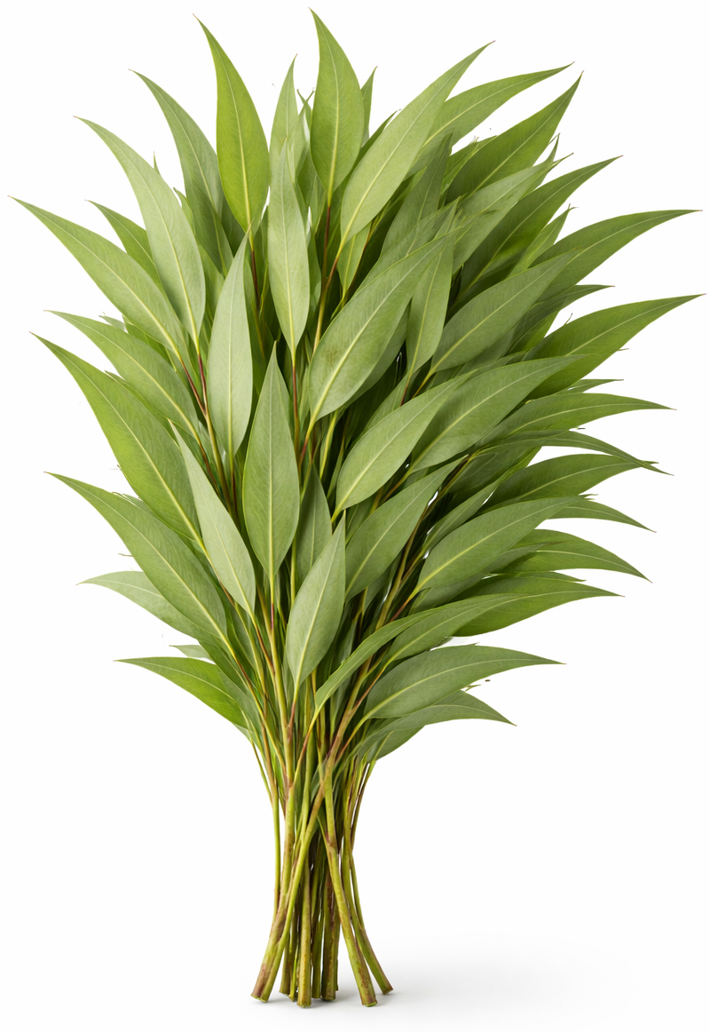 Menthol eucalyptus BIO
