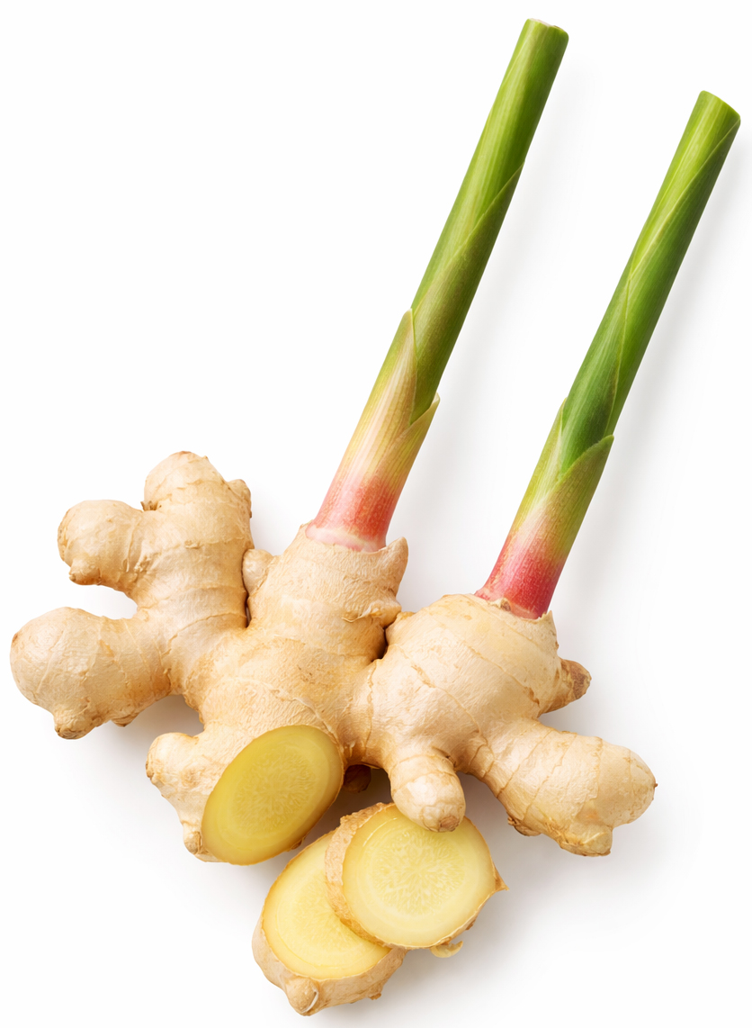 ginger