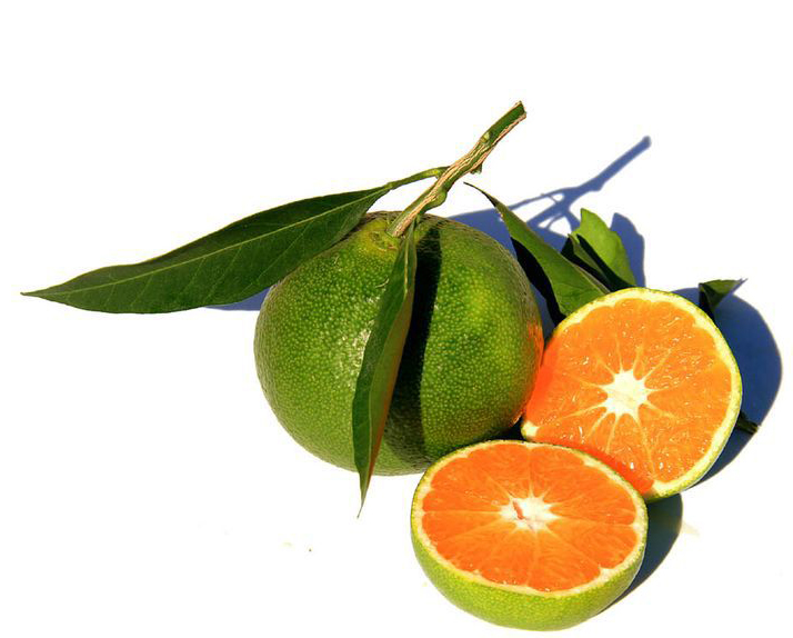 Groene mandarijn BIO