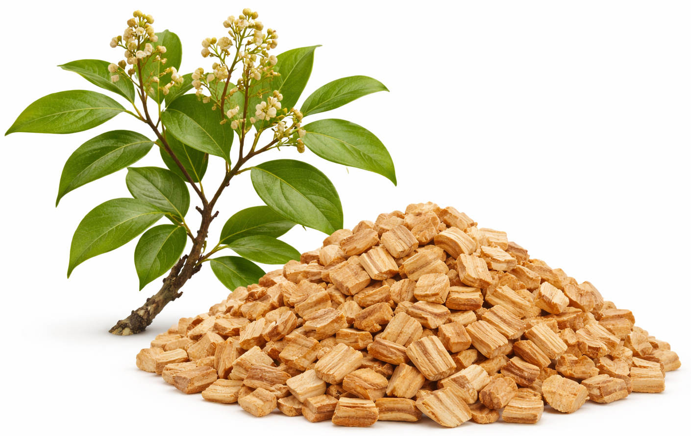 white Indonesian sandalwood