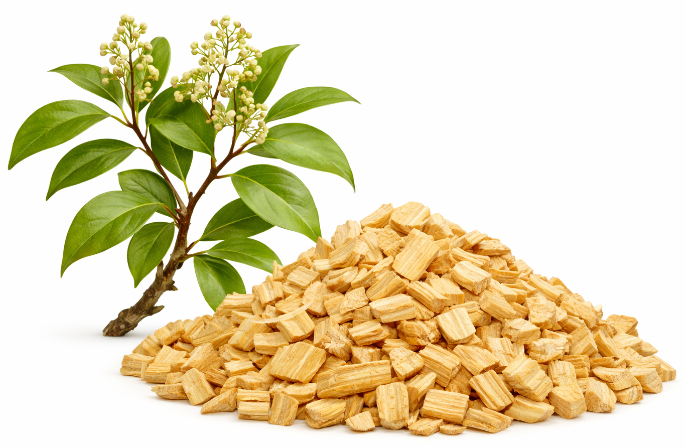 organic New Caledonian sandalwood